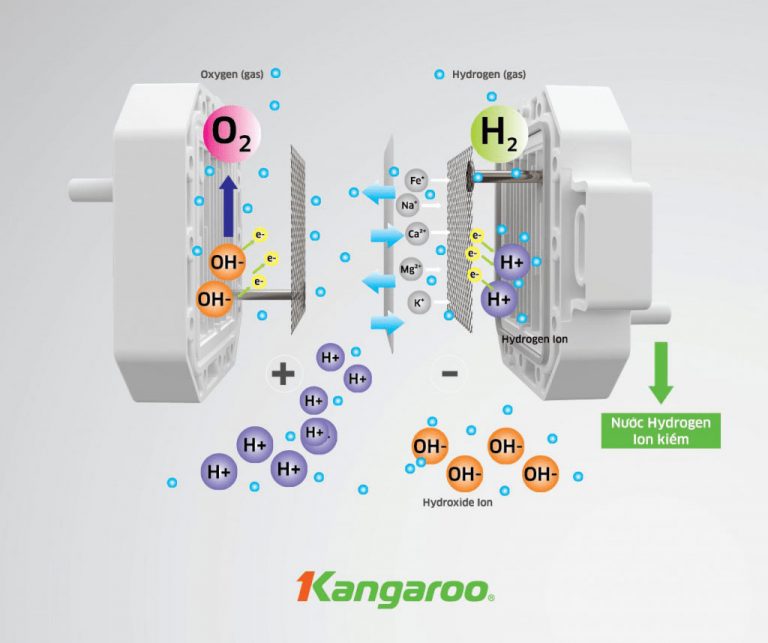 Máy-lọc-nước-Kangaroo-ion-kiềm-1-768x643-1